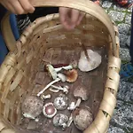 Casa Da Feira