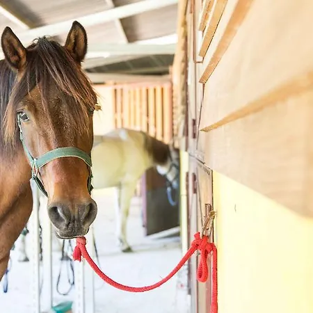 Casa Da Feira Hétvégi ház *