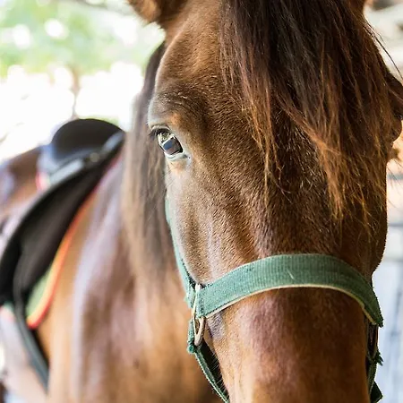 Hétvégi ház Casa Da Feira Lobios