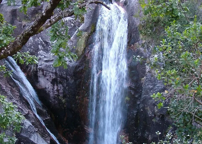 Летний дом Casa Da Feira *