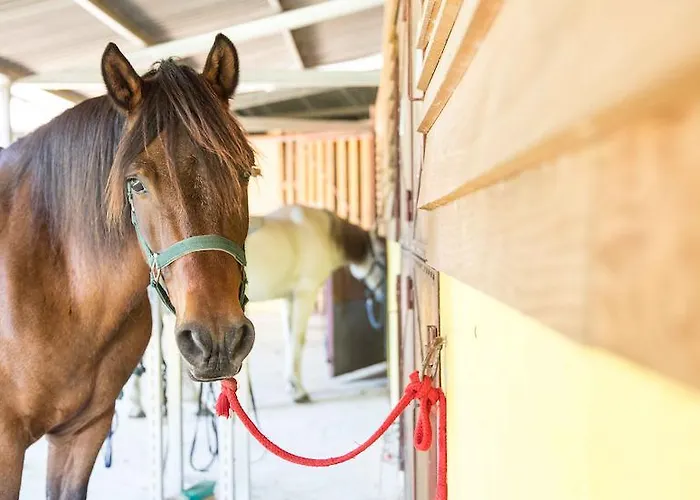 Casa Da Feira Летний дом *