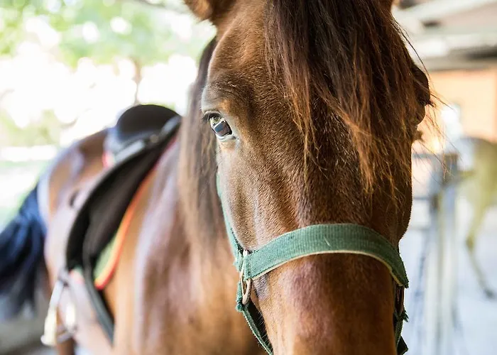 Летний дом Casa Da Feira Ловьос